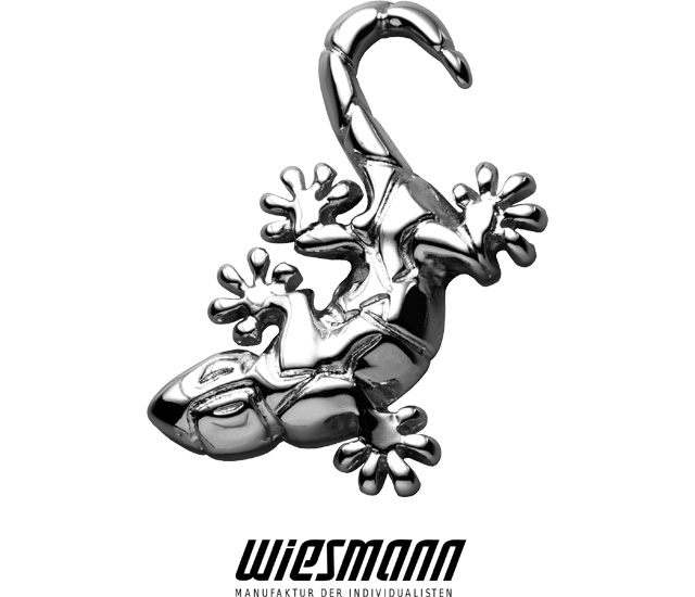 威兹曼车标logo