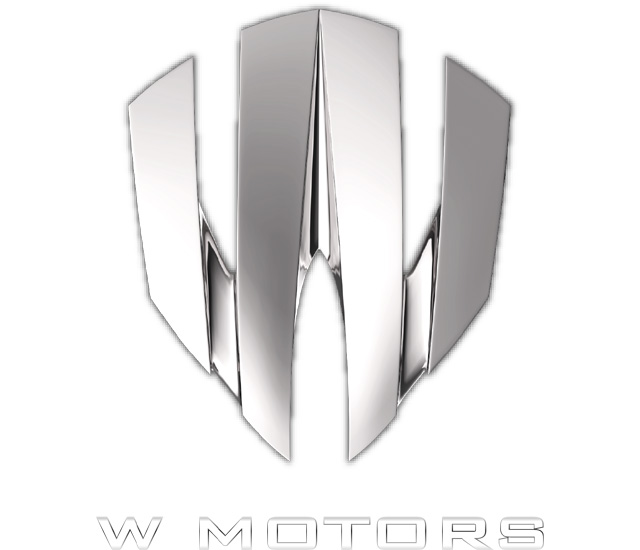 W Motors车标logo